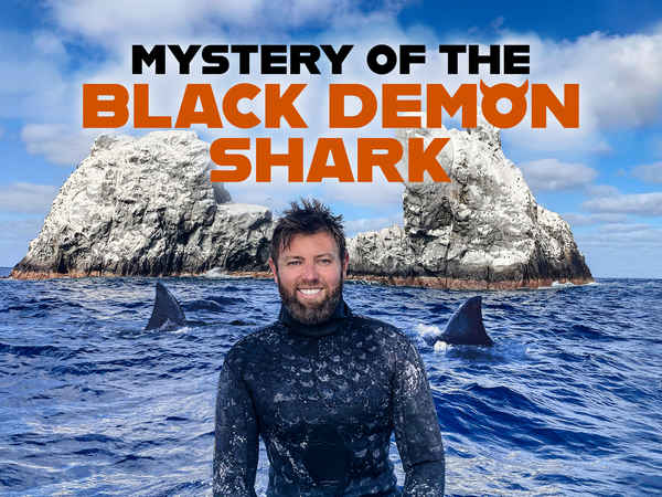 Mystery of the Black Demon Shark Poster 4