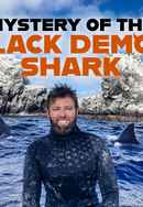 Mystery of the Black Demon Shark Poster 6
