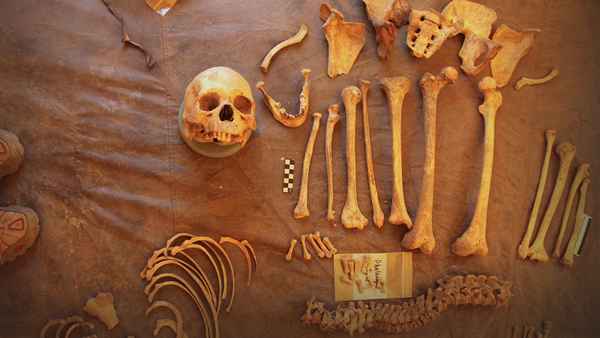 Mystery of the Himalayan Mummies Poster 1