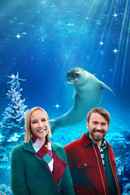 Mystic Christmas Poster 3