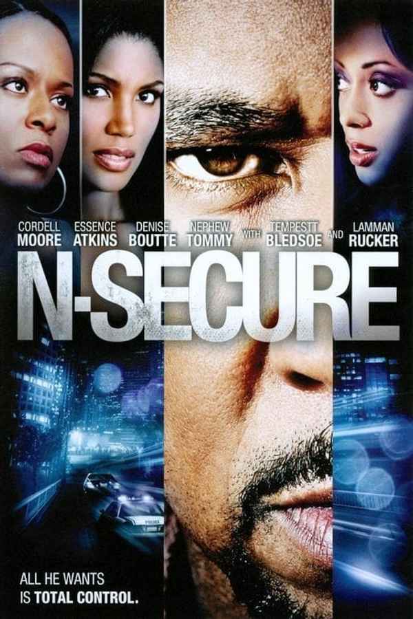 N-Secure Poster 3