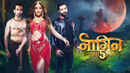 Naagin Poster 7