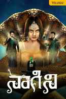 Naagini Poster 1
