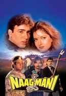 Naagmani Poster 6