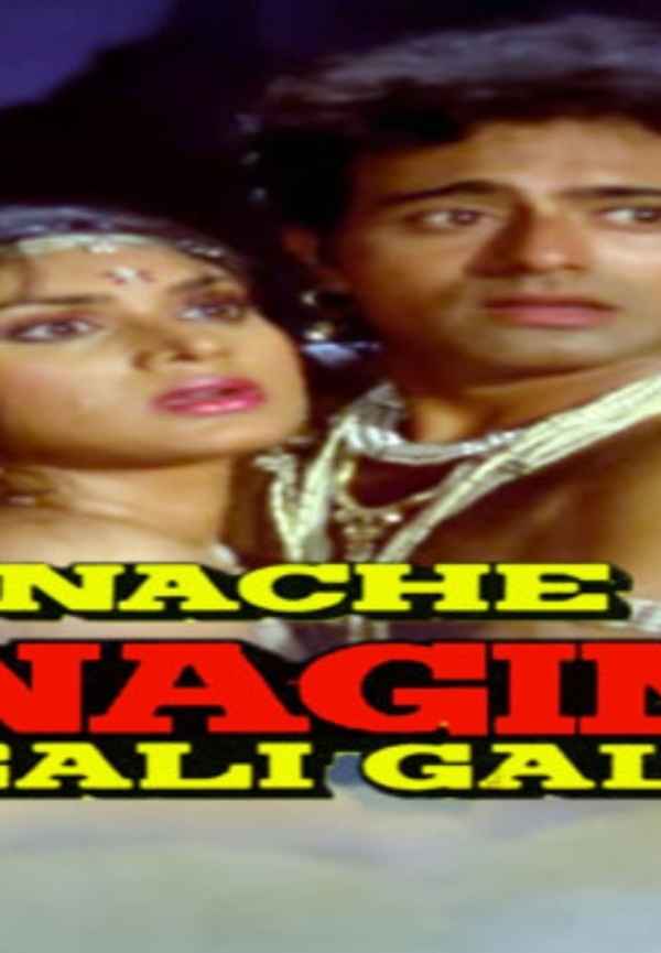 Nache Nagin Gali Gali Poster 6