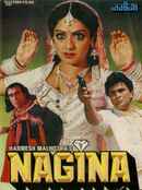 Nagina Poster 5