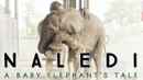 Naledi: A Baby Elephant's Tale Poster 5