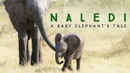 Naledi: A Baby Elephant's Tale Poster 7