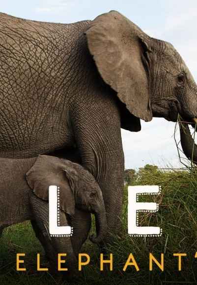 Naledi: A Baby Elephant's Tale