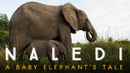 Naledi: A Baby Elephant's Tale Poster 2