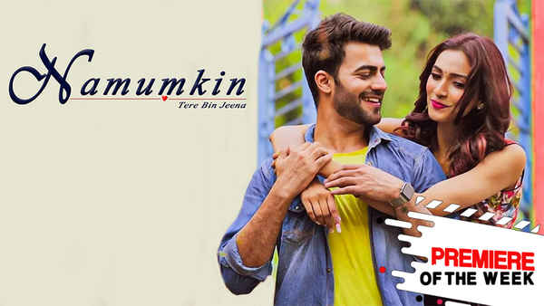 Namumkin Tere Bin Jeena Poster 4