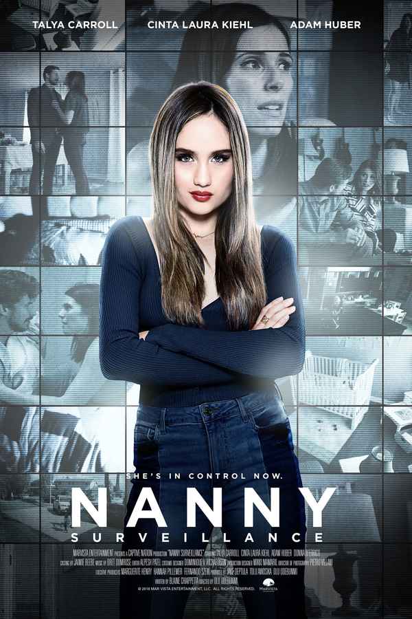 Nanny Surveillance Poster 2