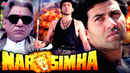 Narsimha Poster 5