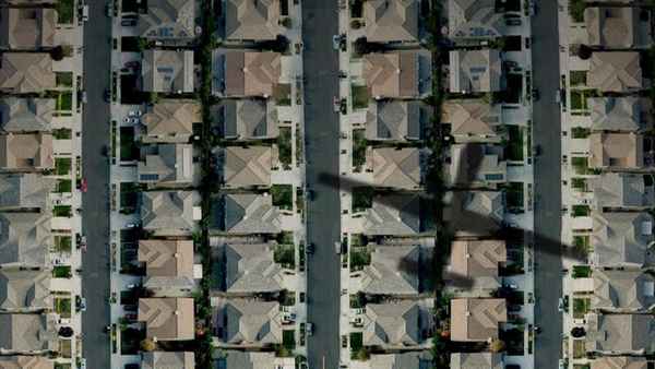 National Bird Poster 6