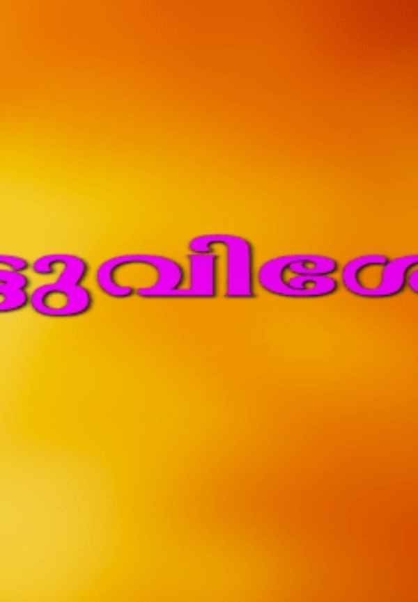 Nattu Vishesham Poster 3