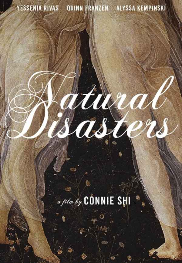 Natural Disasters Poster 2