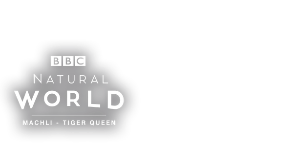 Natural World: Machli - Tiger Queen Poster 1