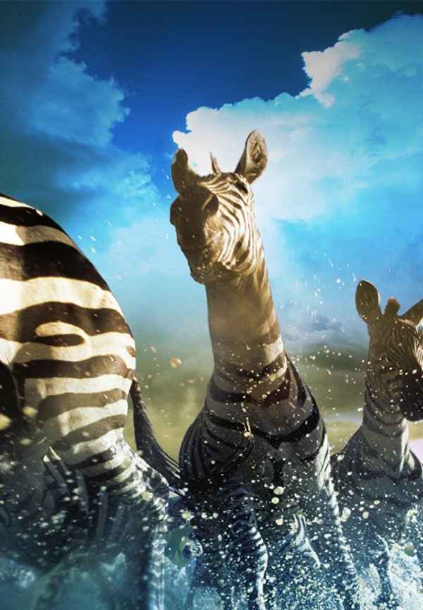 Nature's Great Events Poster 6