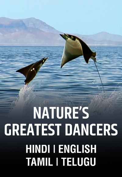 Nature’s Greatest Dancers