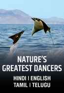 Nature’s Greatest Dancers Poster 6