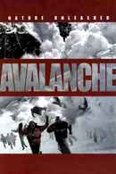 Nature Unleashed: Avalanche Poster 4