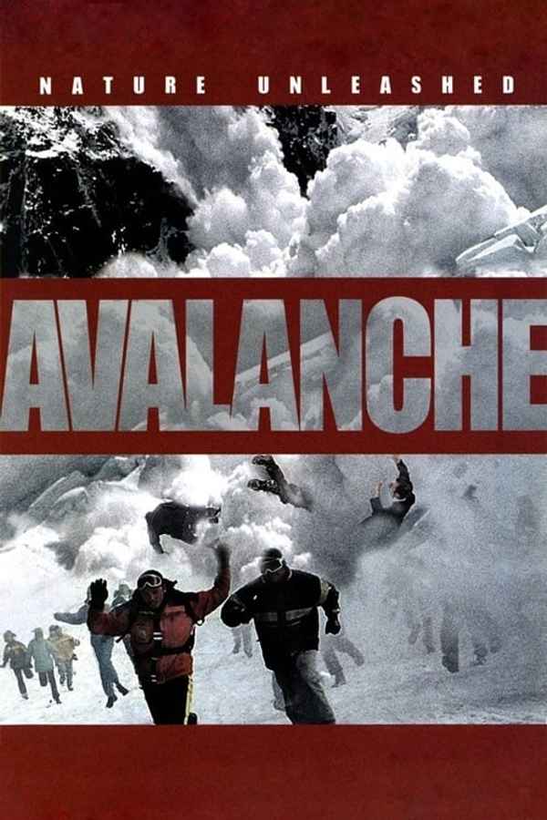 Nature Unleashed: Avalanche Poster 4