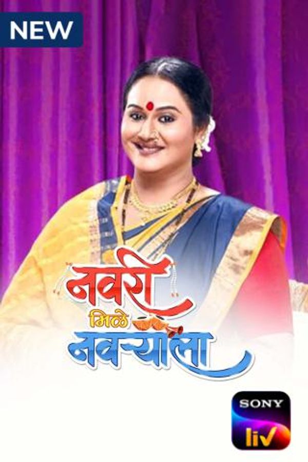 Navri Mile Navryala Poster 3