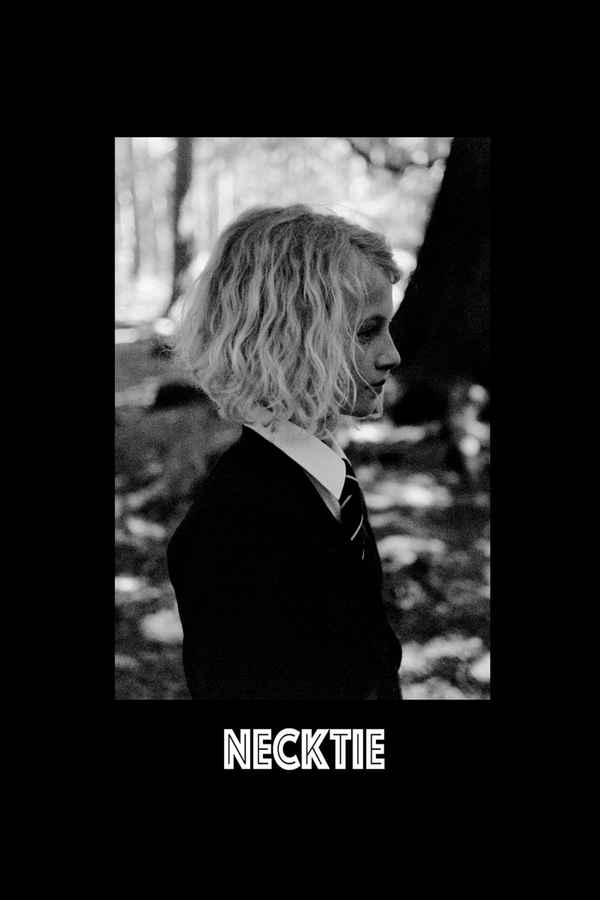 Necktie Poster 6