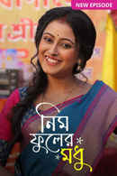 Neem Phooler Madhu Poster 2