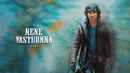 Nene Vasthunna Poster 3