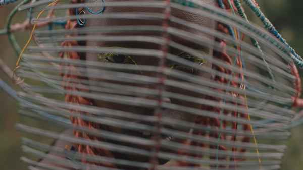 Neptune Frost Poster 2