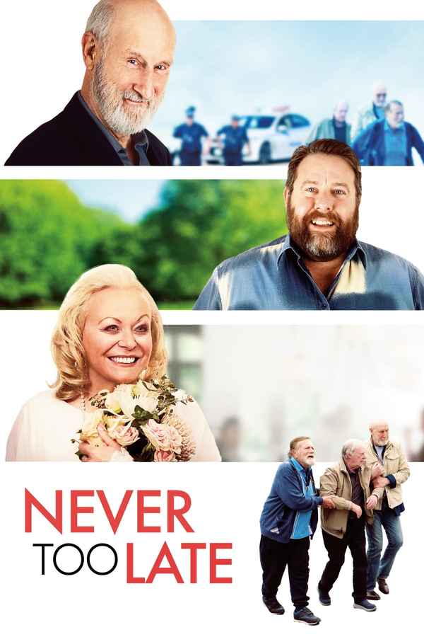 Never Too Late Poster 2