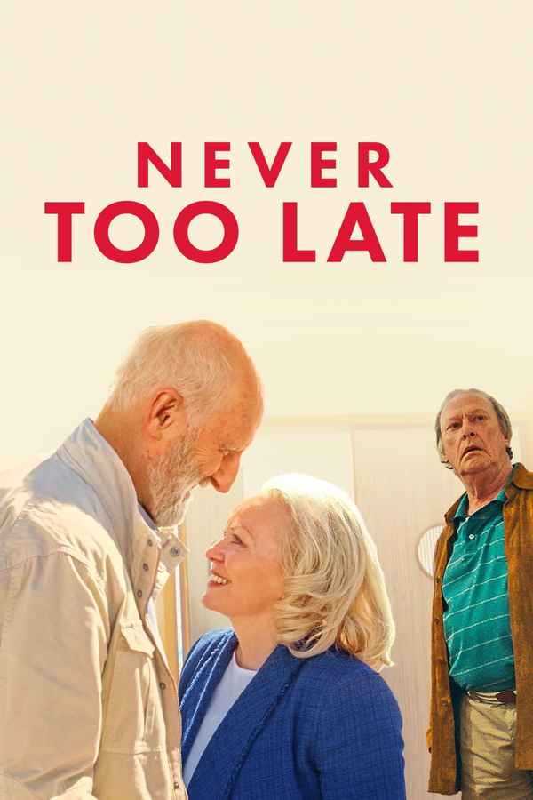 Never Too Late Poster 3