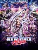 New York Ninja Poster 1