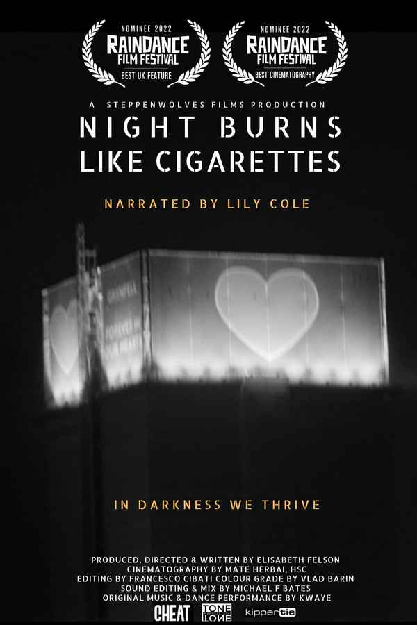 Night Burns Like Cigarettes Poster 2