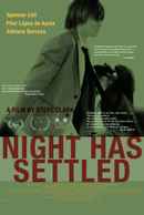 Night Has Settled Poster 2