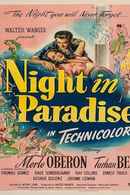 Night in Paradise Poster 5