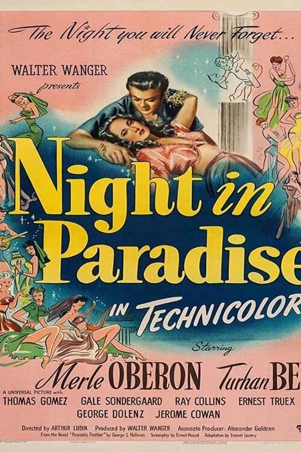 Night in Paradise Poster 6