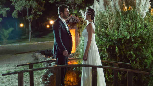 Night of Knots Poster 4