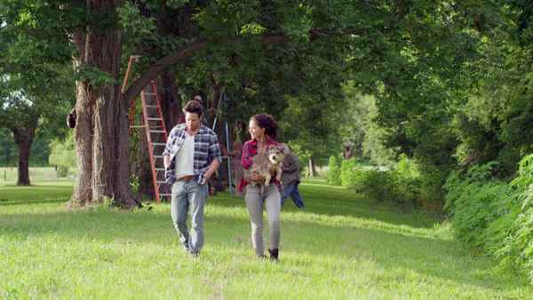 Night of the Wild Poster 1