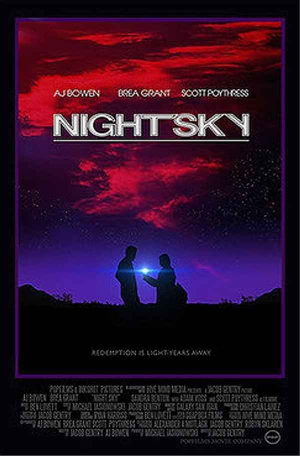 Night Sky Poster 1