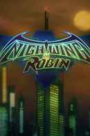 Nightwing and Robin Poster 2