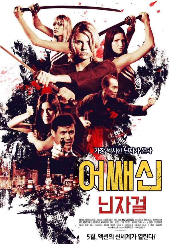 Ninja Cheerleaders Poster 2