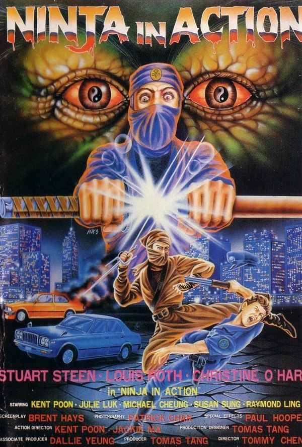 Ninja in Action Poster 3