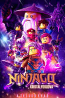Ninjago: Masters of Spinjitzu Poster 7