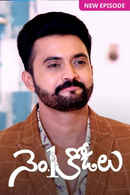 No.1 Kodalu Poster 3