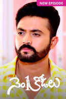 No.1 Kodalu Poster 5