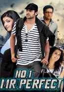 No.1 Mr. Perfect Poster 4