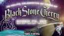 NO CEILING: Celebrating 20 Years of Black Stone Cherry Poster 1