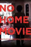 No Home Movie Poster 1